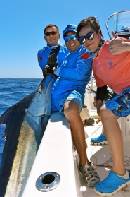 billfish1web