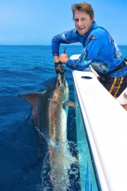 billfish3web