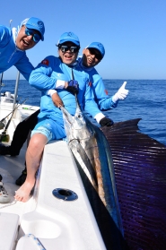 billfish5web