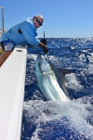 billfish6web